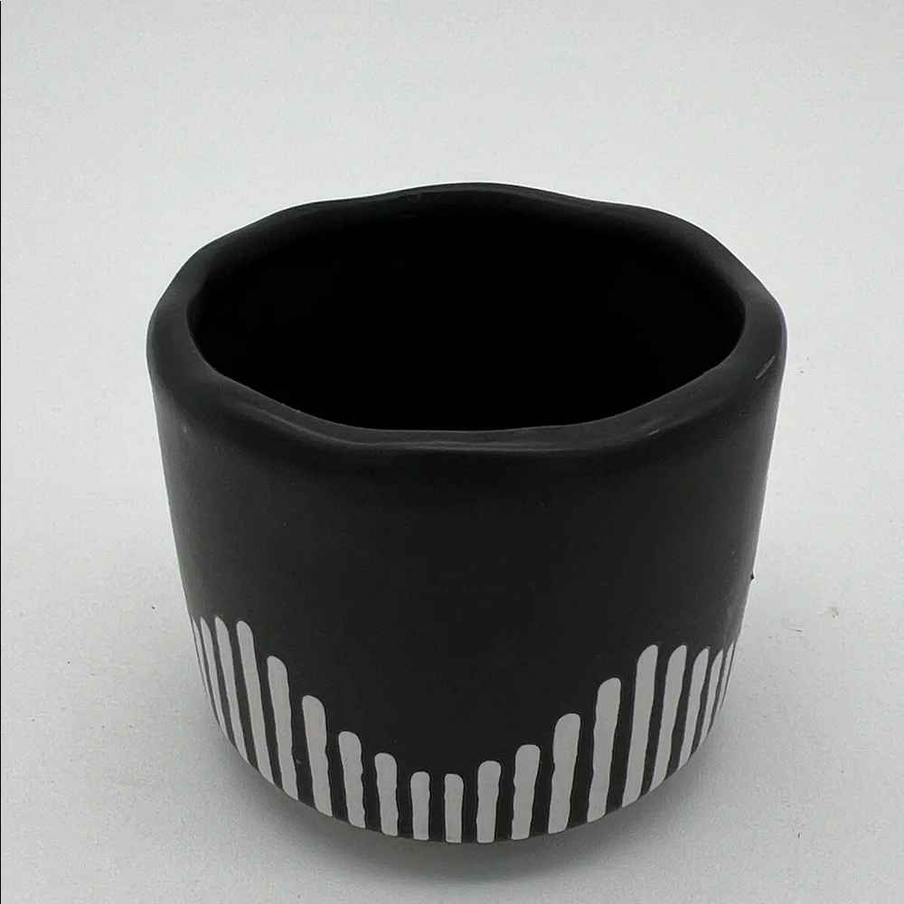 Black and White Ceramic Succulent Planter